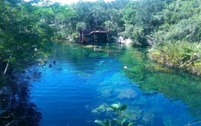 THE MOST INCREDIBLE CENOTES IN THE MEXICAN CARIBBEAN