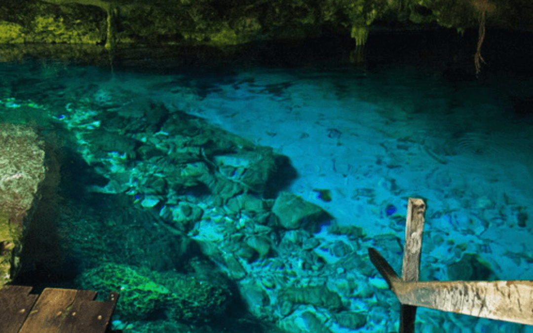 The most amazing cenotes to discover.