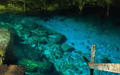 The most amazing cenotes to discover.