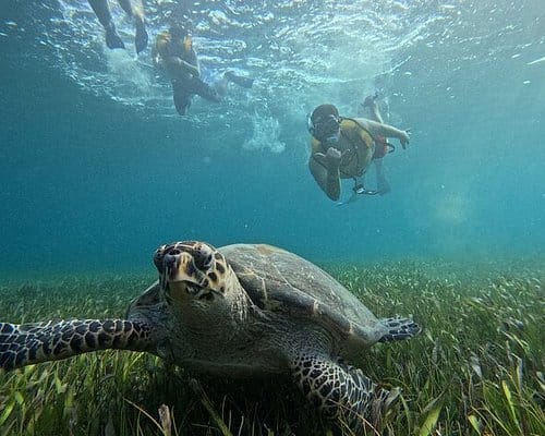 Cancun for Adventurers: Attractions You Can’t Miss.