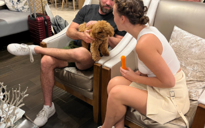 The Ultimate Stress-Free Pet Travel Guide: VIP Lounge by MERA